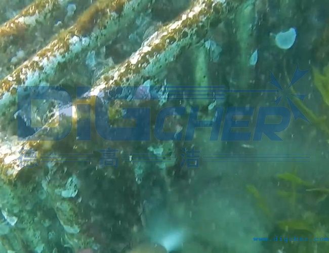 水下養殖網箱清洗技術