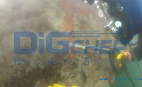 船底除海生物設備